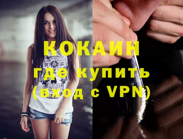 соль ск Абаза