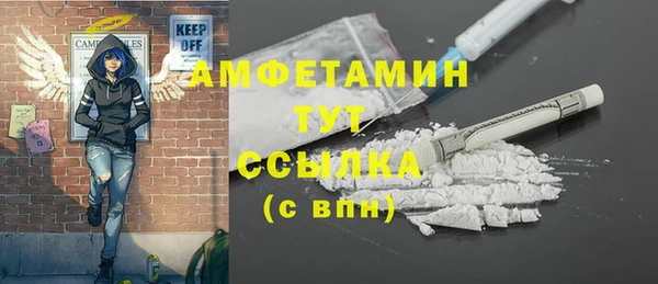 mdpv Протвино