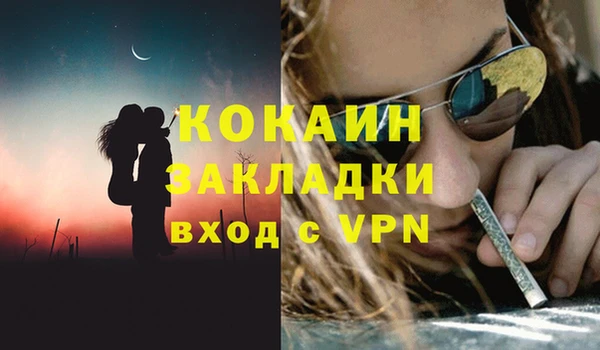 соль ск Абаза