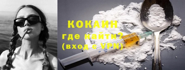 соль ск Абаза