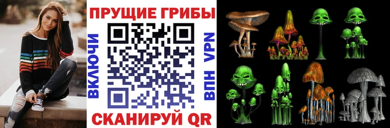 Галлюциногенные грибы GOLDEN TEACHER  как найти   Елизово 